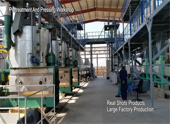Máquina de extracción de prensa para fabricación de aceite de soja