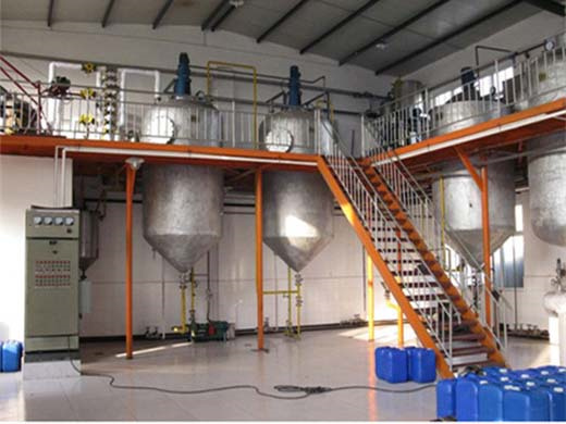 Línea de producción de molino de refinación de aceite de palma estándar interno