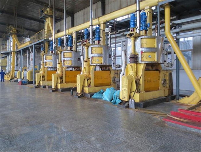prensa hidráulica de aceite de palmiste en méxico