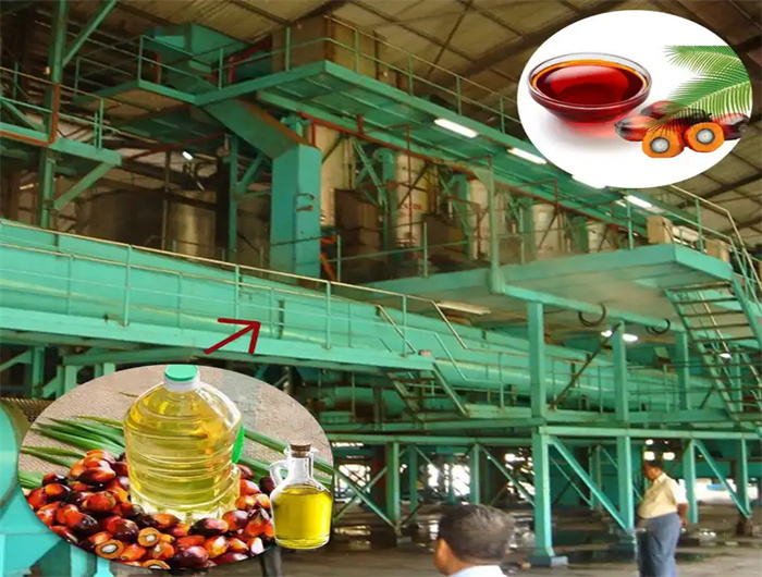 Prensa de aceite de palma de tornillo de 15-200 kg/hora en Uruguay