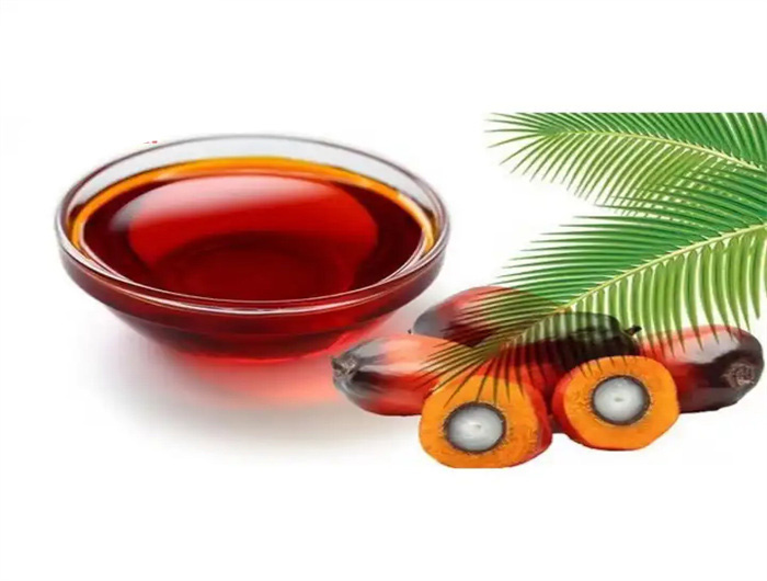 Línea de producción de aceite de palmiste de nuevo diseño